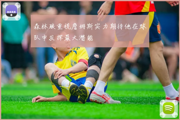 森林狼重视詹姆斯实力期待他在球队中发挥最大潜能