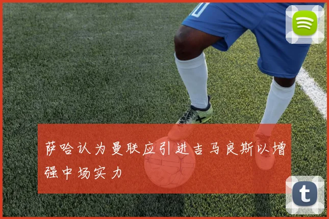 萨哈认为曼联应引进吉马良斯以增强中场实力
